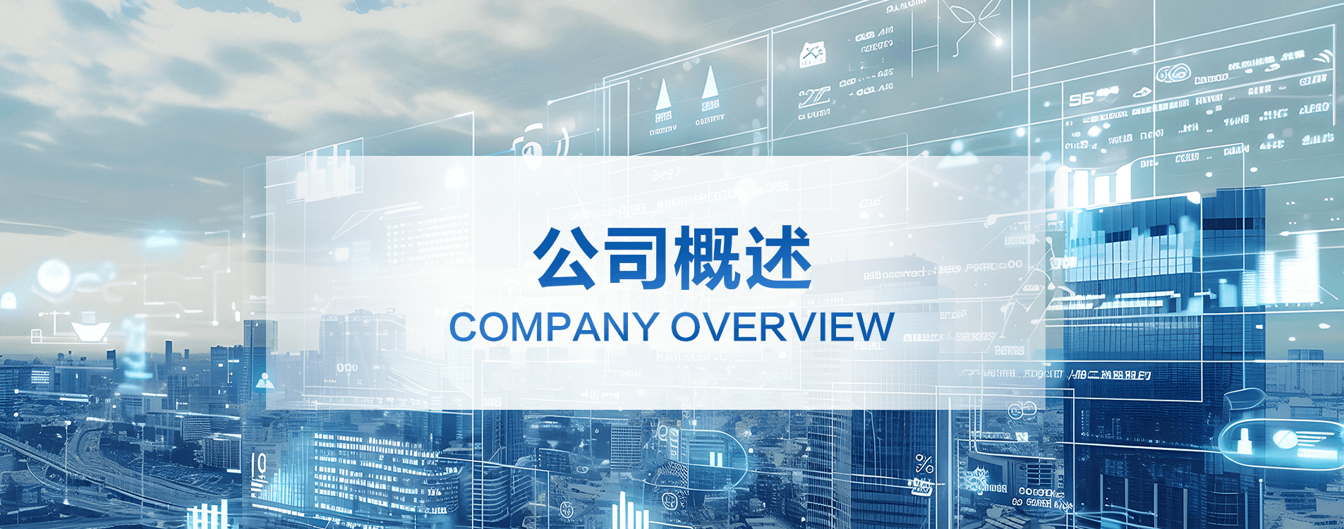 公司概述