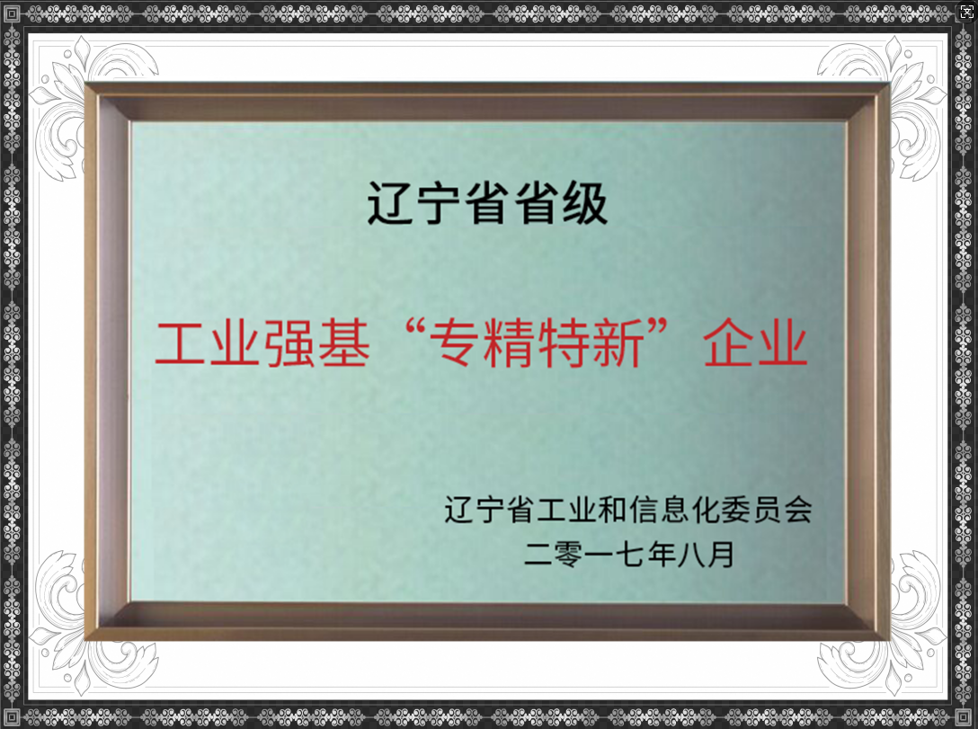 工业强基 专精特新企业