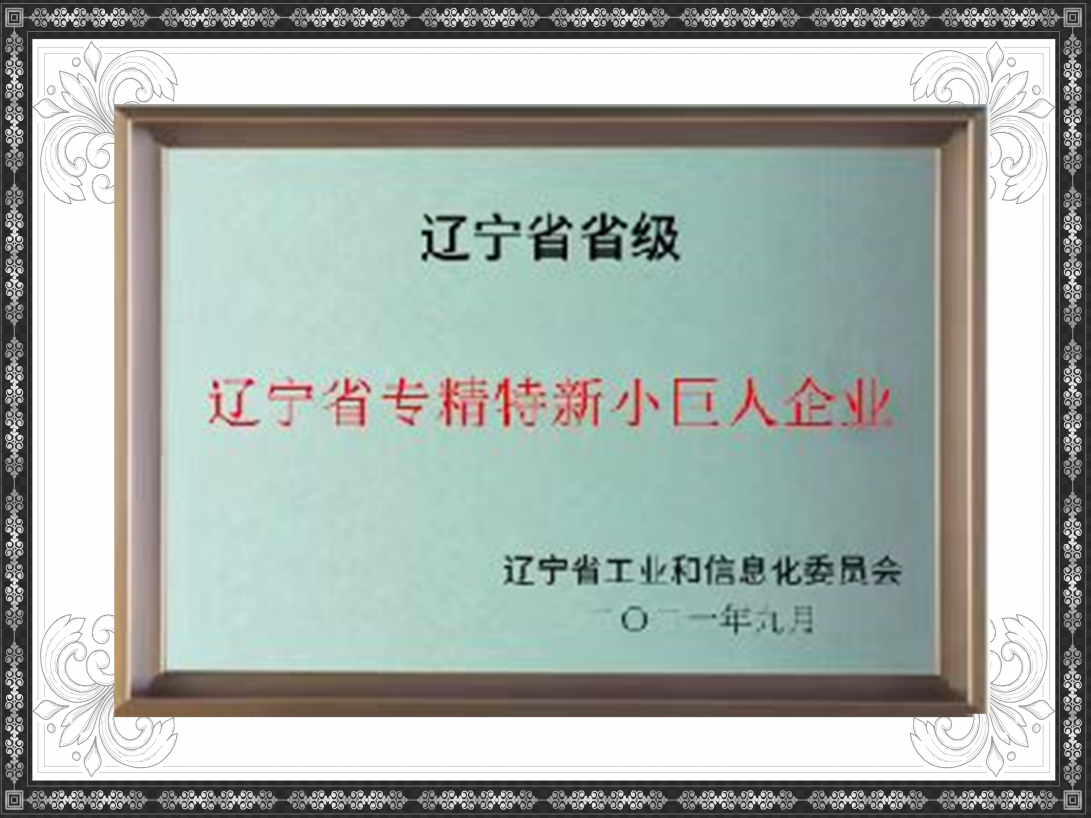辽宁省专精特新小巨人企业